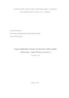 Utjecaj folijarnih tretmana na internu kvalitetu ploda „“Oblačinske“ višnje (P. cerasus L)