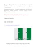 FUMIGANT EFFICACY OF 1,8-CINEOLE AND EUGENOL ON THE PUPAL STAGE OF TRIBOLIUM CASTANEUM (HERBST) (INSECTA: COLEOPTERA: TENEBRIONIDAE)