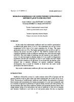 SEEDLINGS MORPHOLOGY OF CONFECTIONERY SUNFLOWER AT DIFFERENT pH OF WATER SOLUTION