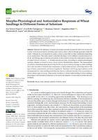 Morpho-Physiological and Antioxidative Responses of Wheat Seedlings to Different Forms of Selenium