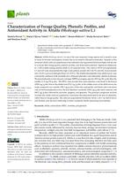 Characterization of Forage Quality, Phenolic Profiles, and Antioxidant Activity in Alfalfa (Medicago sativa L.)