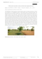 Walnut and crop yields in walnut orchards intercropped with wheat