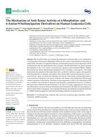 TheMechanism of Anti-Tumor Activity of 6-Morpholino- and 6-Amino-9-Sulfonylpurine Derivatives on Human Leukemia Cells