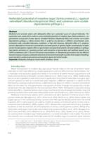 Herbicidal potential of meadow sage (Salvia pratensis L.) against velvetleaf (Abutilon theophrasti Med.) and common corn-cockle (Agrostemma githago L.)