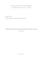 prikaz prve stranice dokumenta Ekonomika proizvodnje suncokreta na OPG-u Branimir Subotić
