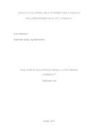 prikaz prve stranice dokumenta Poslovni plan za proizvodnju ljutih umaka Crobasco®
